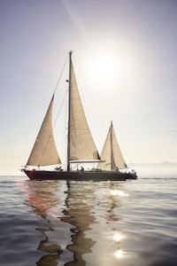 Sailing Boat Revolution